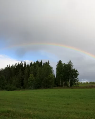 Kalevalan p&auml;iv&auml; 1999 Hirvikoskella
