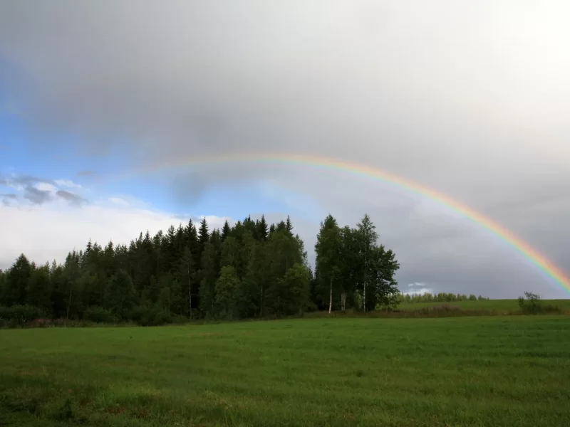 Perinteest&auml; terveydenhuoltoomme uutta pontta - Osmo H&auml;nninen